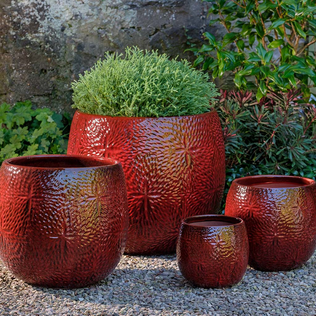 Sand Dollar Planter - Tropic Red - S/4
