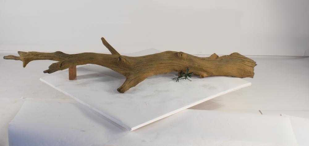 Photo of Floating Log 003 - Marquis Gardens