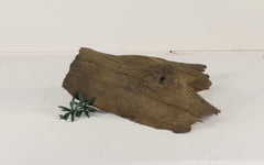 Photo of Floating Log 004 - Marquis Gardens