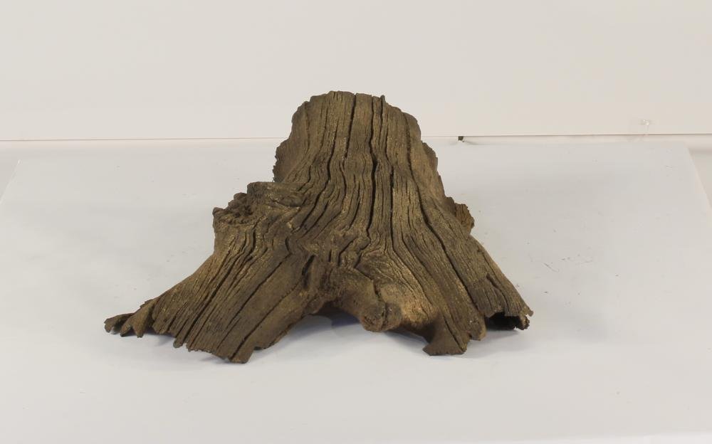 Photo of Floating Log 004 - Marquis Gardens