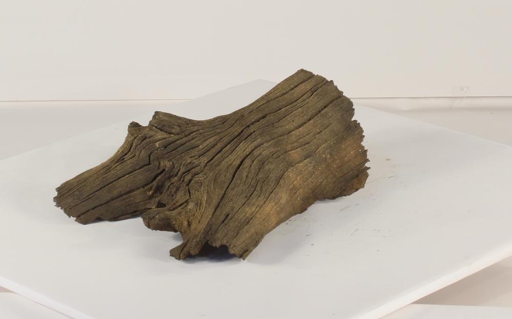 Photo of Floating Log 004 - Marquis Gardens