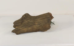 Photo of Floating Log 004 - Marquis Gardens