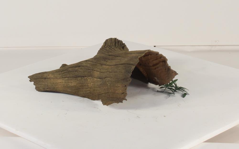 Photo of Floating Log 004 - Marquis Gardens