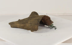Photo of Floating Log 004 - Marquis Gardens