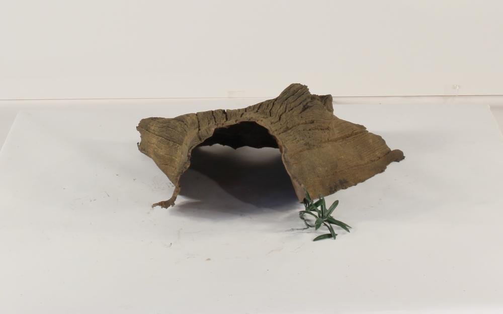 Photo of Floating Log 004 - Marquis Gardens