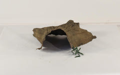 Photo of Floating Log 004 - Marquis Gardens