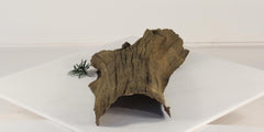 Photo of Floating Log 005 - Marquis Gardens