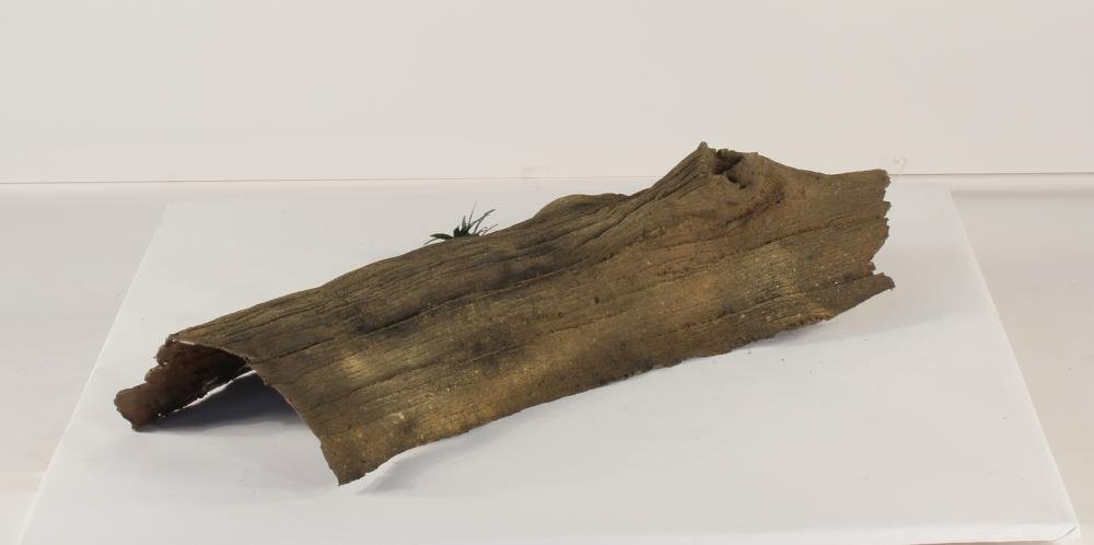 Photo of Floating Log 005 - Marquis Gardens