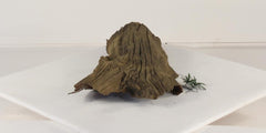 Photo of Floating Log 005 - Marquis Gardens