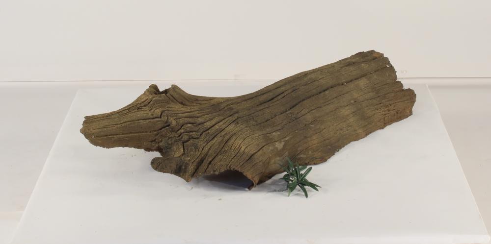 Photo of Floating Log 005 - Marquis Gardens