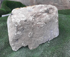 Moss Bubble Rock - 146