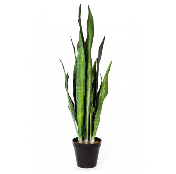 Snake Plant, 27"