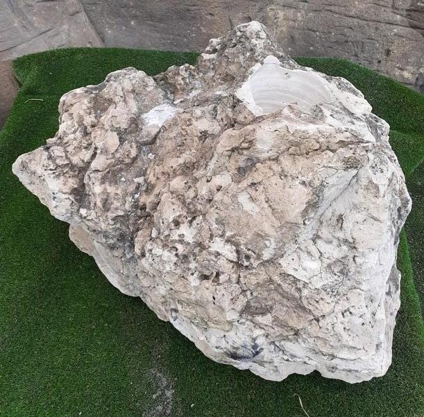 Armour Stone Bubble Rock - 183