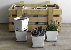 Photo of Campania Garden Terrace Small Square White Crate (S/16) - Marquis Gardens