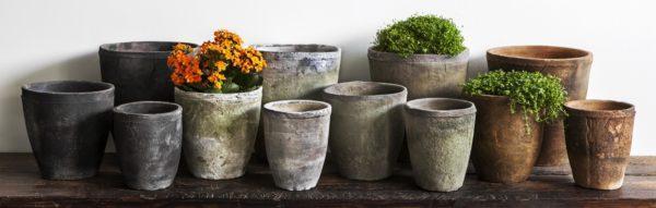 Photo of Campania Farmer's Pot - Set of 24 - Marquis Gardens