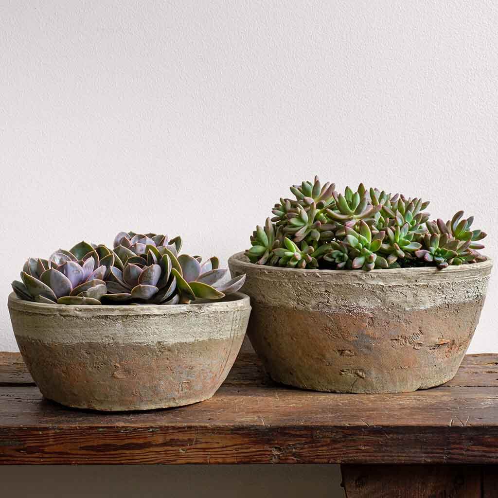 Photo of Campania Farmer's Bowl Tapered - Cotswold White - Set of 8 - Marquis Gardens