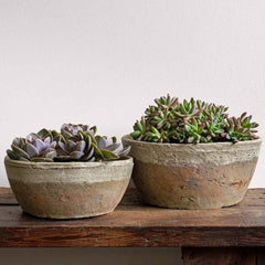 Photo of Campania Farmer's Bowl Tapered - Cotswold White - Set of 8 - Marquis Gardens