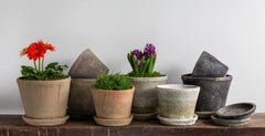 Photo of Campania Tall Cylinder Farmer's Pot - Mixed - Set of 16 - Marquis Gardens