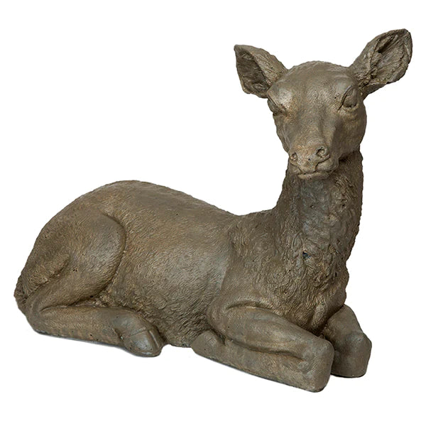 Photo of Laying Doe - Marquis Gardens