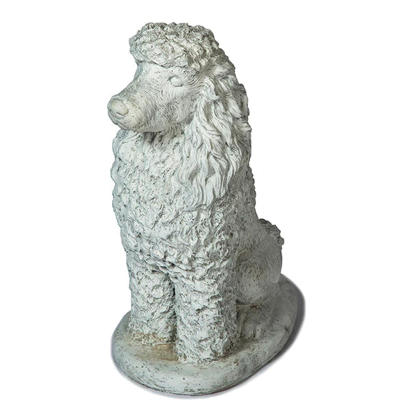 Photo of Poodle - Marquis Gardens