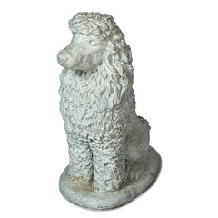 Photo of Poodle - Marquis Gardens