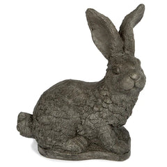 Photo of Standing Bunny Ears - Marquis Gardens