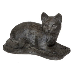 Photo of Cat - Laying - Marquis Gardens
