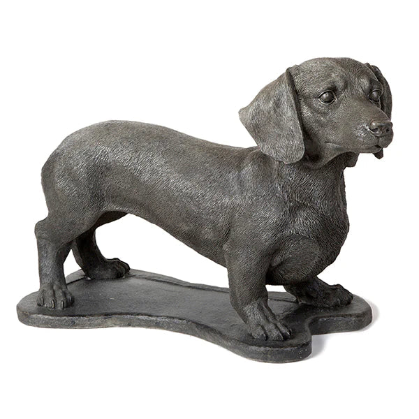 Photo of Daschund - Marquis Gardens