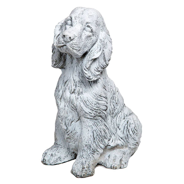 Photo of Cocker Spaniel - Marquis Gardens