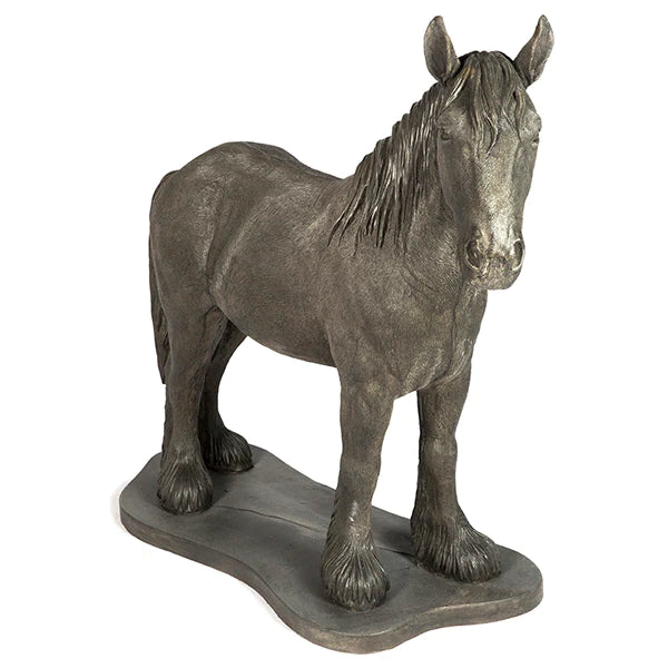 Photo of Clydesdale - Marquis Gardens