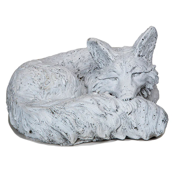 Photo of Curled Fox - Marquis Gardens