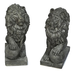 Photo of Lion Right / Left Paw on Ball - Marquis Gardens