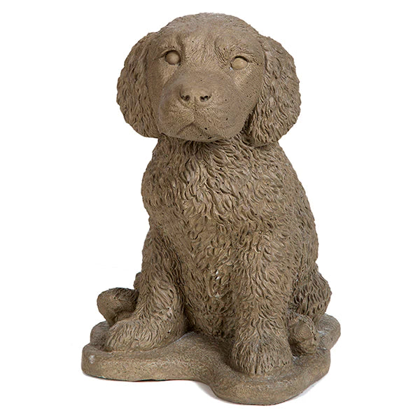 Photo of Retriever Pup - Marquis Gardens
