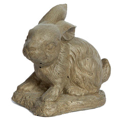 Photo of Rabbit - Small Sitting - Marquis Gardens