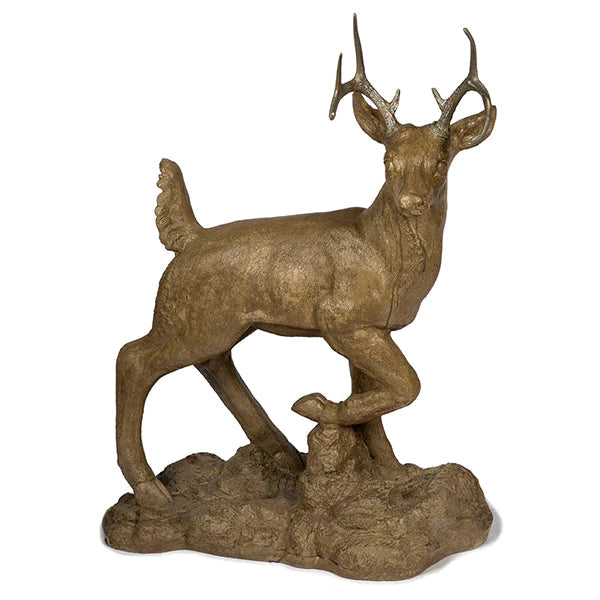Photo of Buck on Rocks - Marquis Gardens