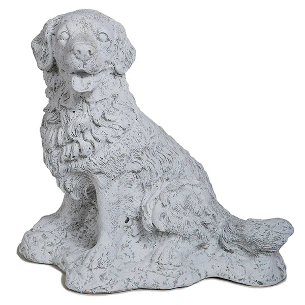 Photo of Small Retriever - Marquis Gardens