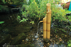 Photo of Aquascape Bamboo Fountains  - Marquis Gardens
