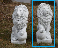 Photo of Lion Right / Left Paw on Ball - Marquis Gardens