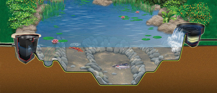 Photo of Aquascape Small Pond Kit 8' x 11'  - Marquis Gardens