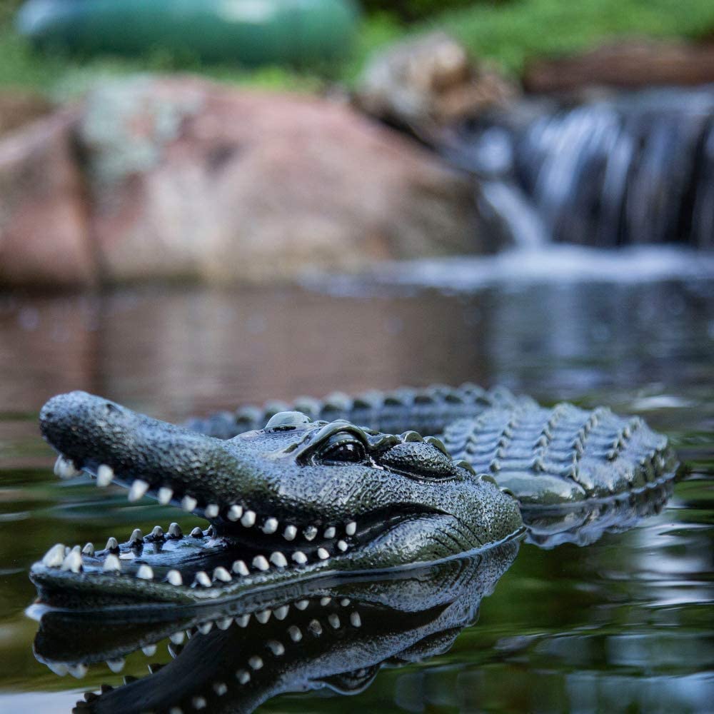 Photo of Aquascape Floating Alligator Decoy  - Marquis Gardens