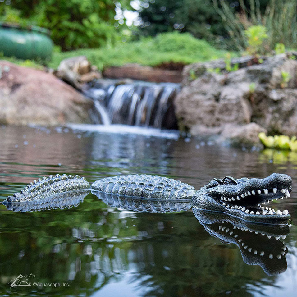 Photo of Aquascape Floating Alligator Decoy  - Marquis Gardens