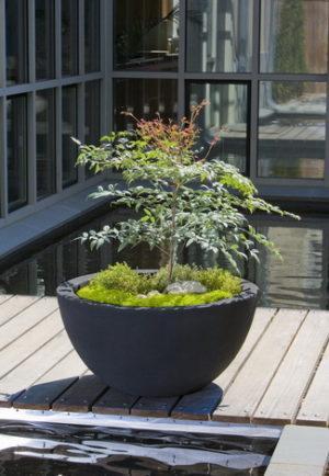 Photo of Campania Piccadilly Planter Lite - Marquis Gardens