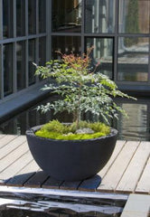 Photo of Campania Piccadilly Planter Lite - Marquis Gardens