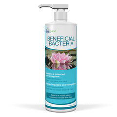 Photo of Aquascape Beneficial Bacteria for Ponds (Liquid)  - Marquis Gardens