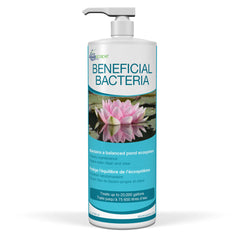 Photo of Aquascape Beneficial Bacteria for Ponds (Liquid)  - Marquis Gardens