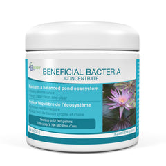 Photo of Aquascape Beneficial Bacteria for Ponds Dry  - Marquis Gardens