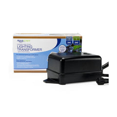 Photo of Aquascape Transformers  - Marquis Gardens