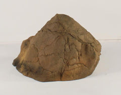 Photo of Accent Rock - AR-003 by Universal Rocks - Marquis Gardens
