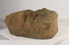Photo of Accent Rock - AR-008 by Universal Rocks - Marquis Gardens