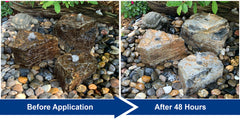 Photo of Aquascape Rock and Fountain Cleaner  - Marquis Gardens
